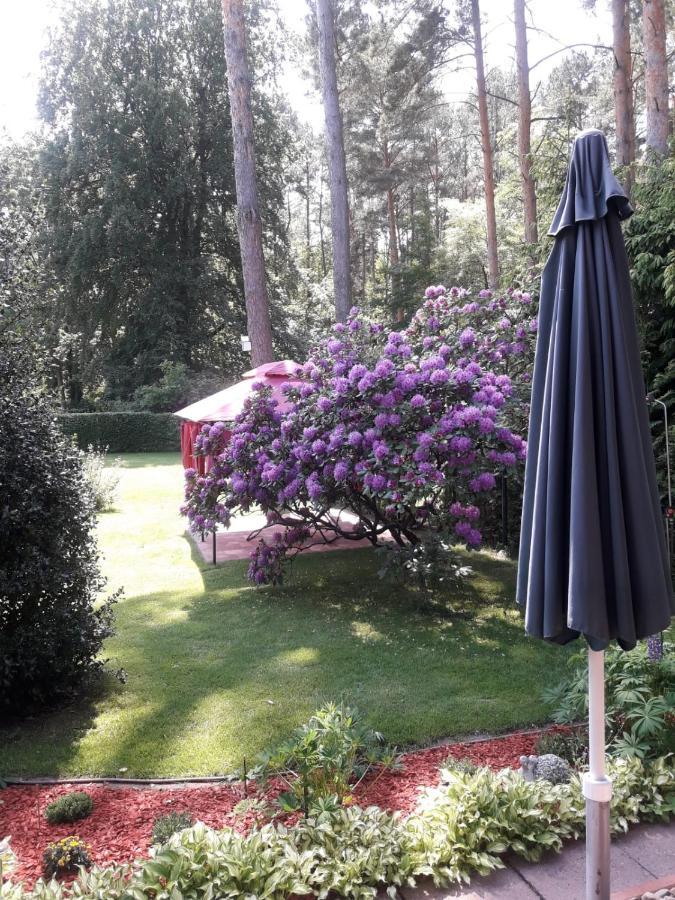 Ferienhaus Am Langen See Heidesee Buitenkant foto
